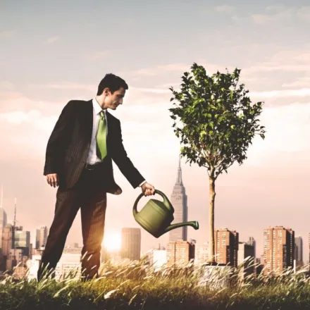 Business Growth Stages: How to Build Your Company into a Market Leader
