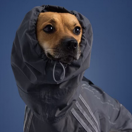 adidas für pelzige Fashionistas: die neue Herbstkollektion