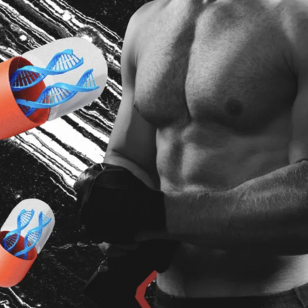 5 facteurs qui influencent réellement la croissance musculaire : pousse ton corps au maximum