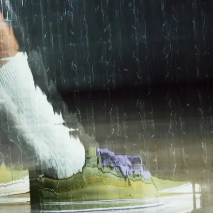 Zapatillas que siguen el camino de la naturaleza salvaje: Vans y Futuremade presentan las Old Skool «Migratory Patterns»