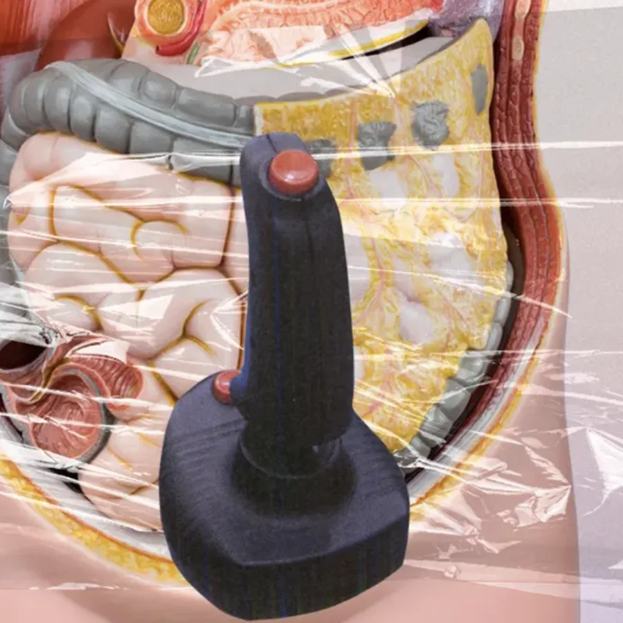 L’intestino come “secondo cervello”: come il microbioma controlla la tua energia, il testosterone e il tuo stato di benessere